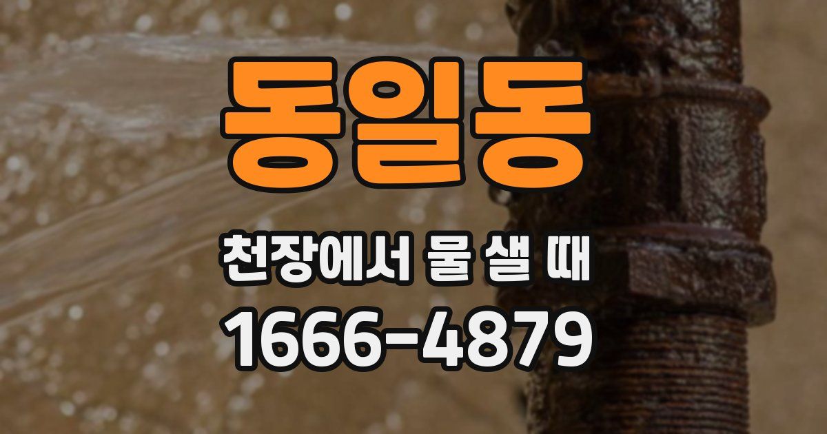 동일동 천장에서 물 샐 때