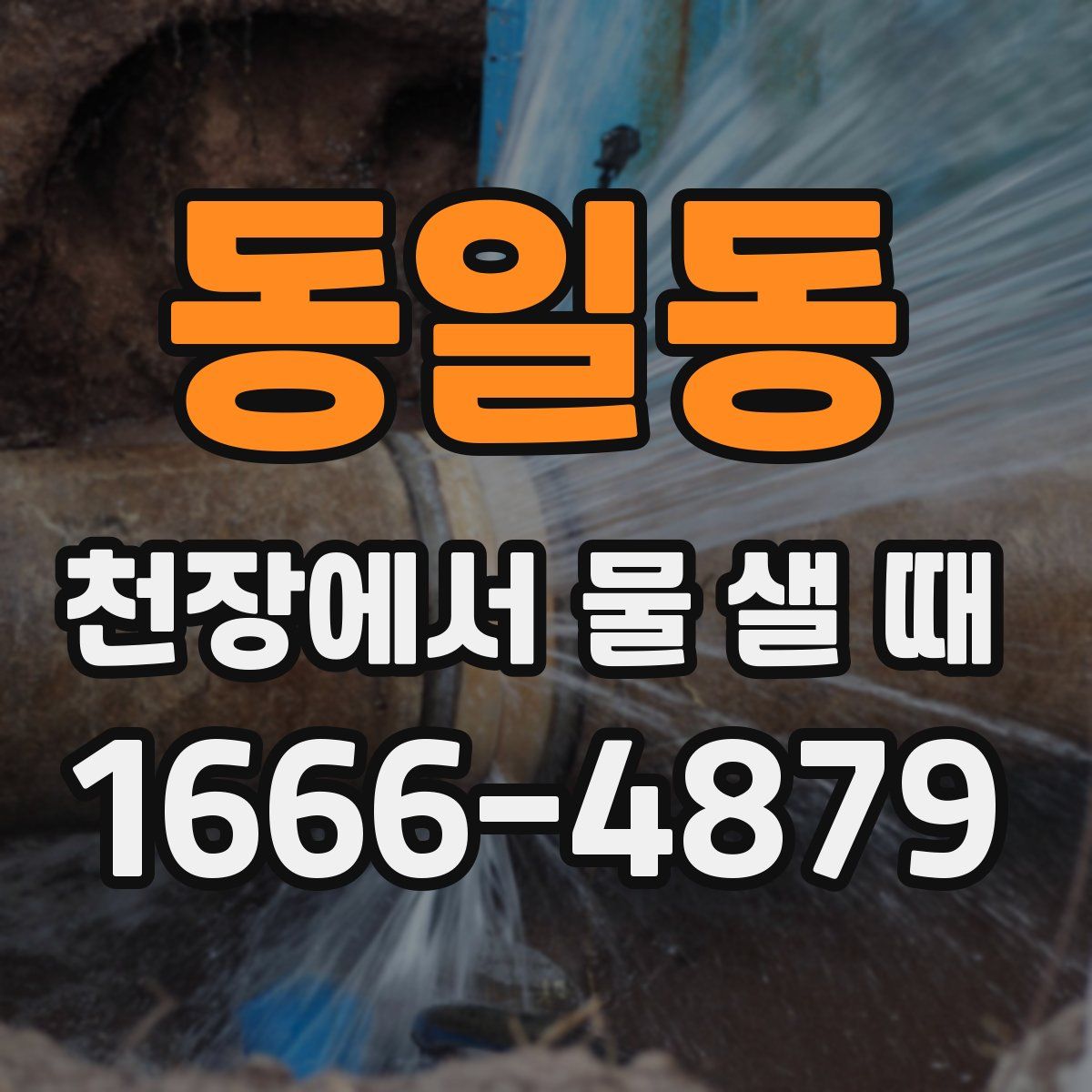 동일동 천장에서 물 샐 때