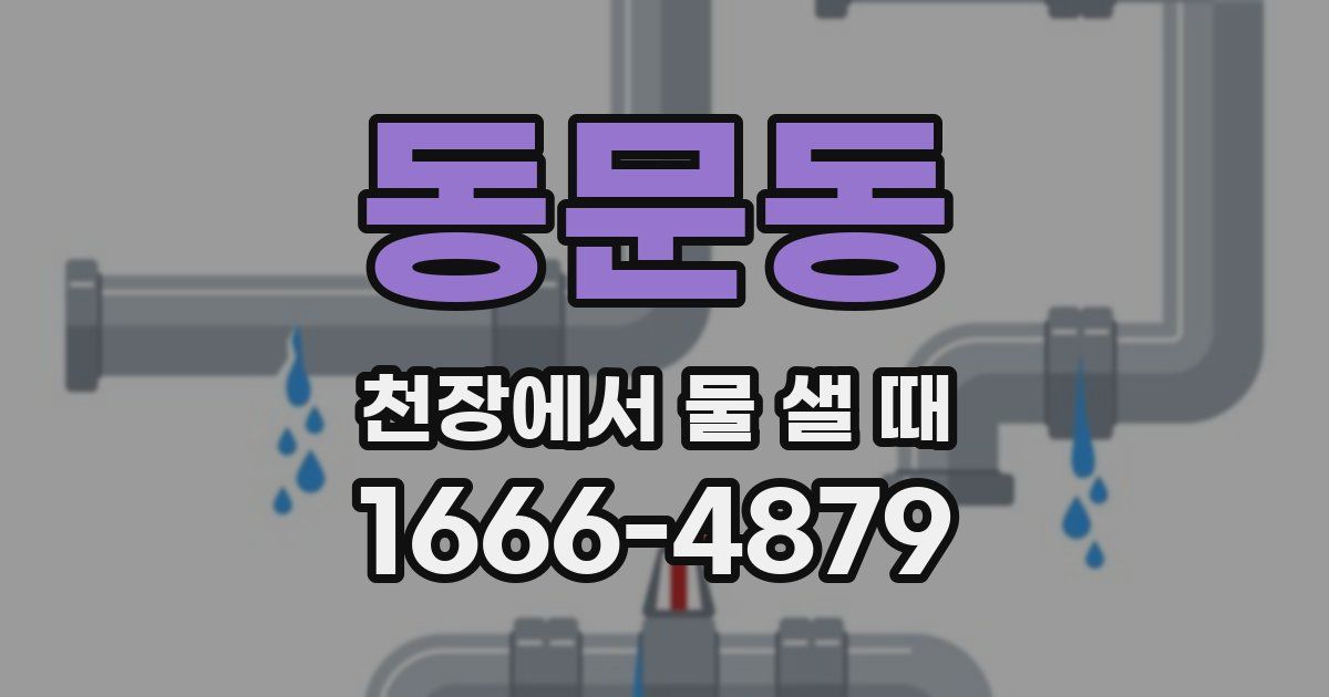 동문동 천장에서 물 샐 때
