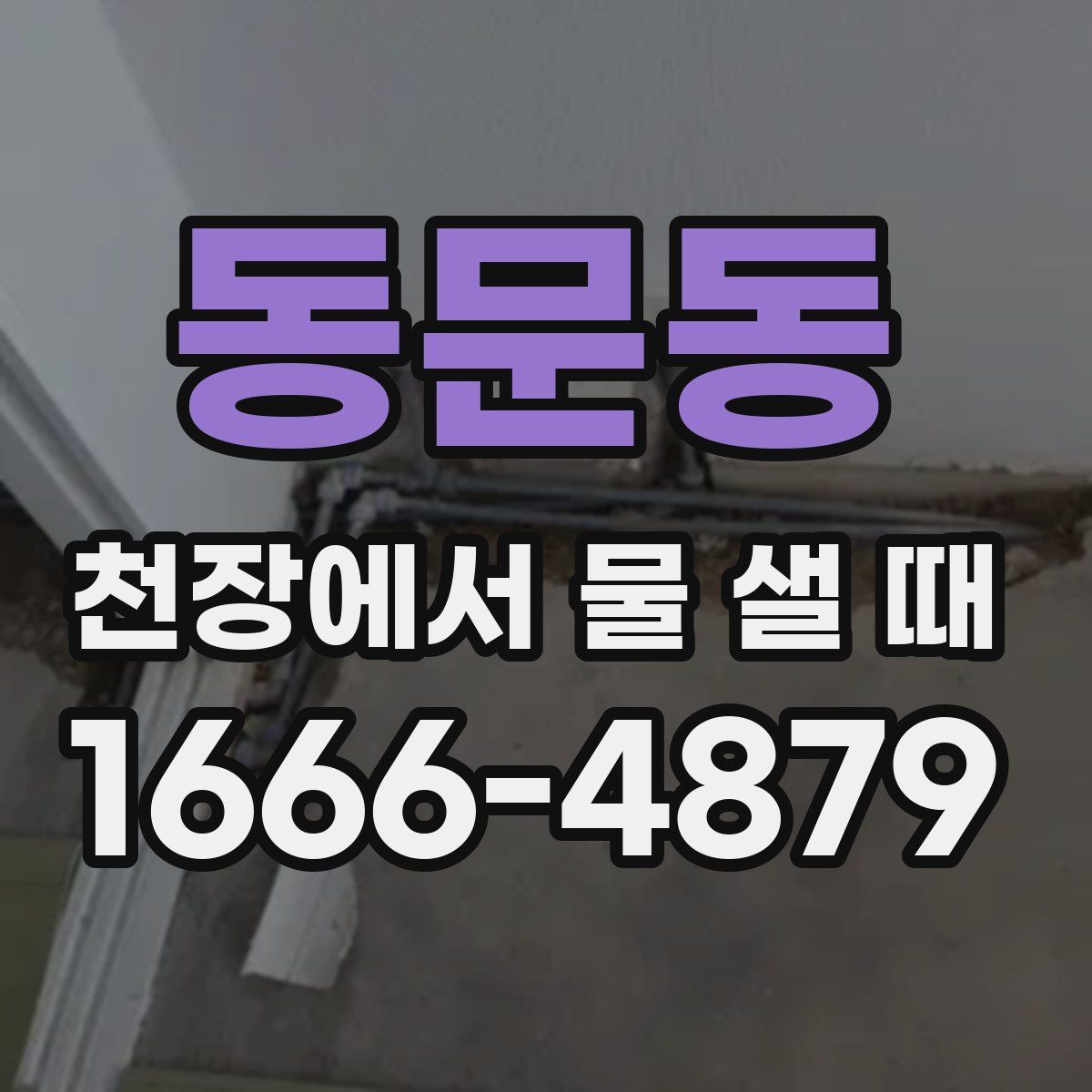 동문동 천장에서 물 샐 때