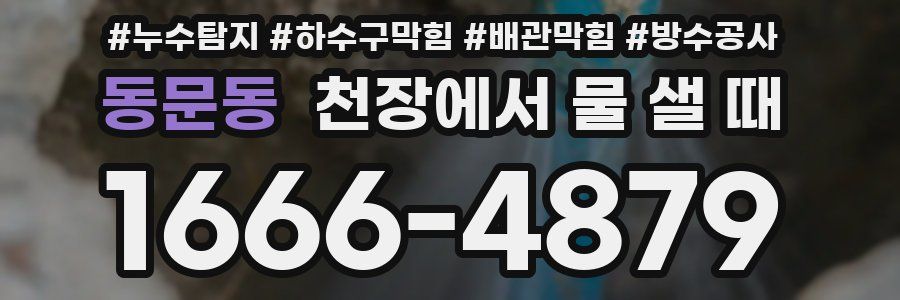동문동 천장에서 물 샐 때