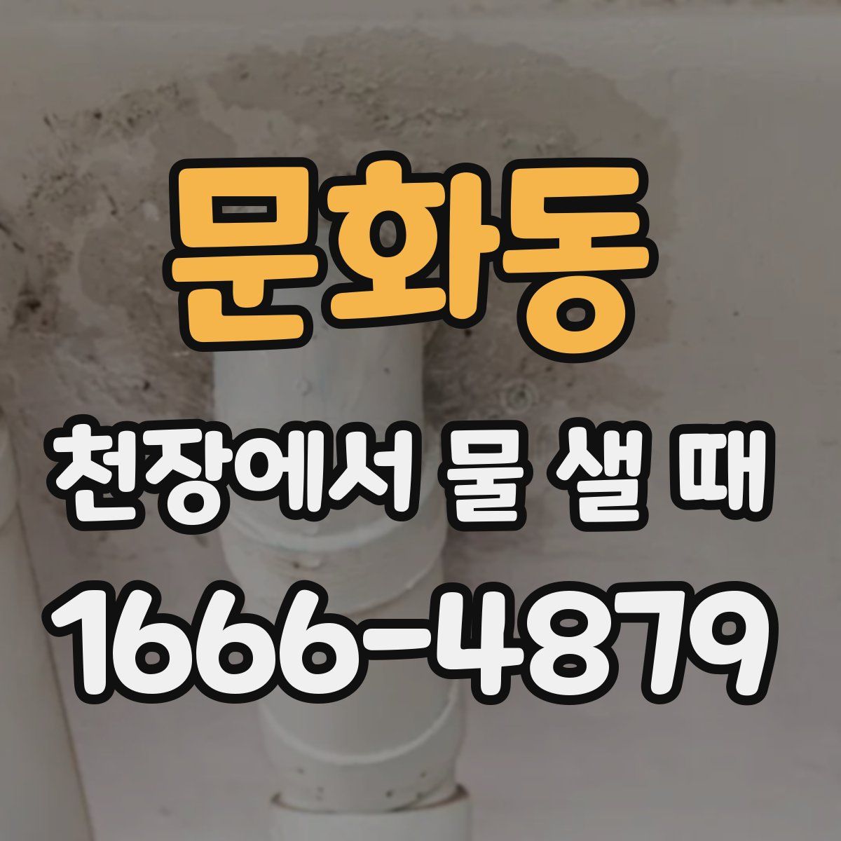 문화동 천장에서 물 샐 때
