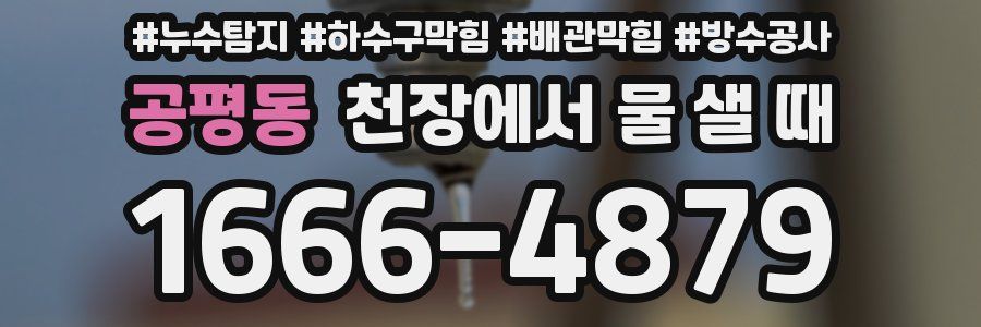 공평동 천장에서 물 샐 때