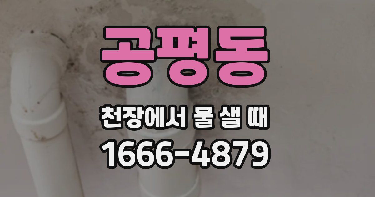 공평동 천장에서 물 샐 때