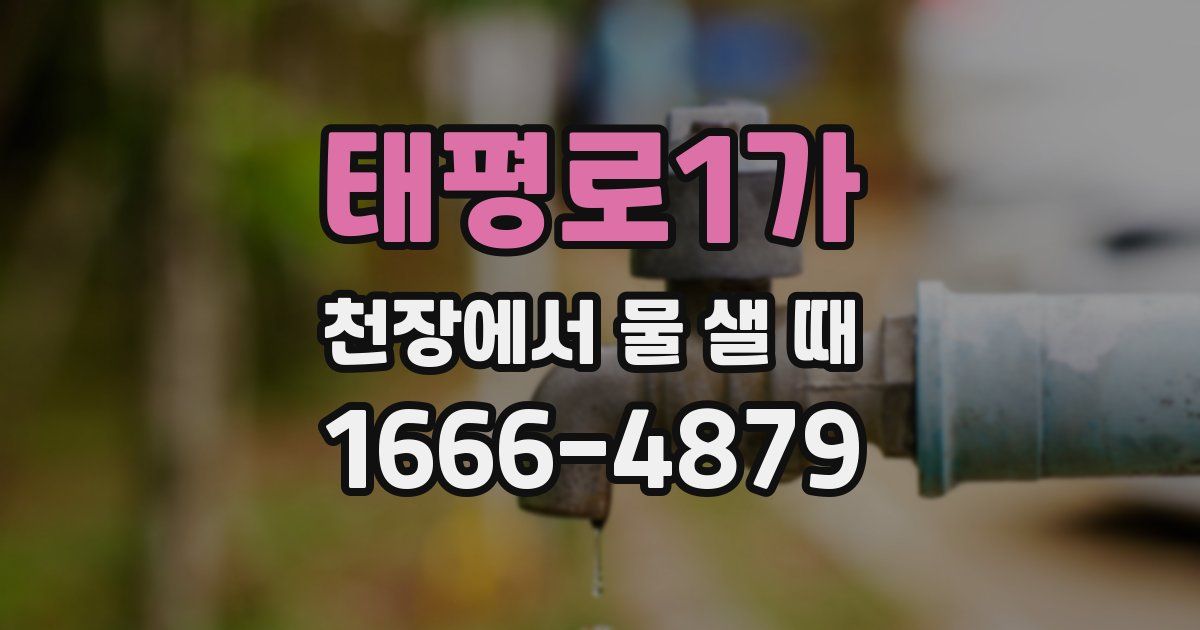 태평로1가 천장에서 물 샐 때