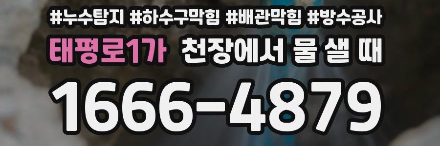 태평로1가 천장에서 물 샐 때