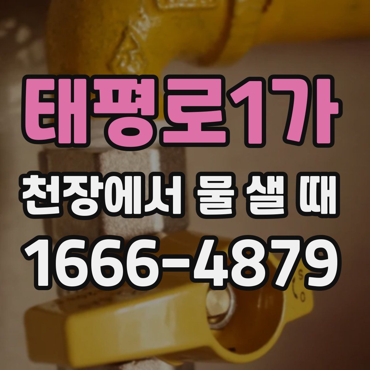 태평로1가 천장에서 물 샐 때