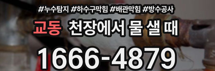 교동 천장에서 물 샐 때