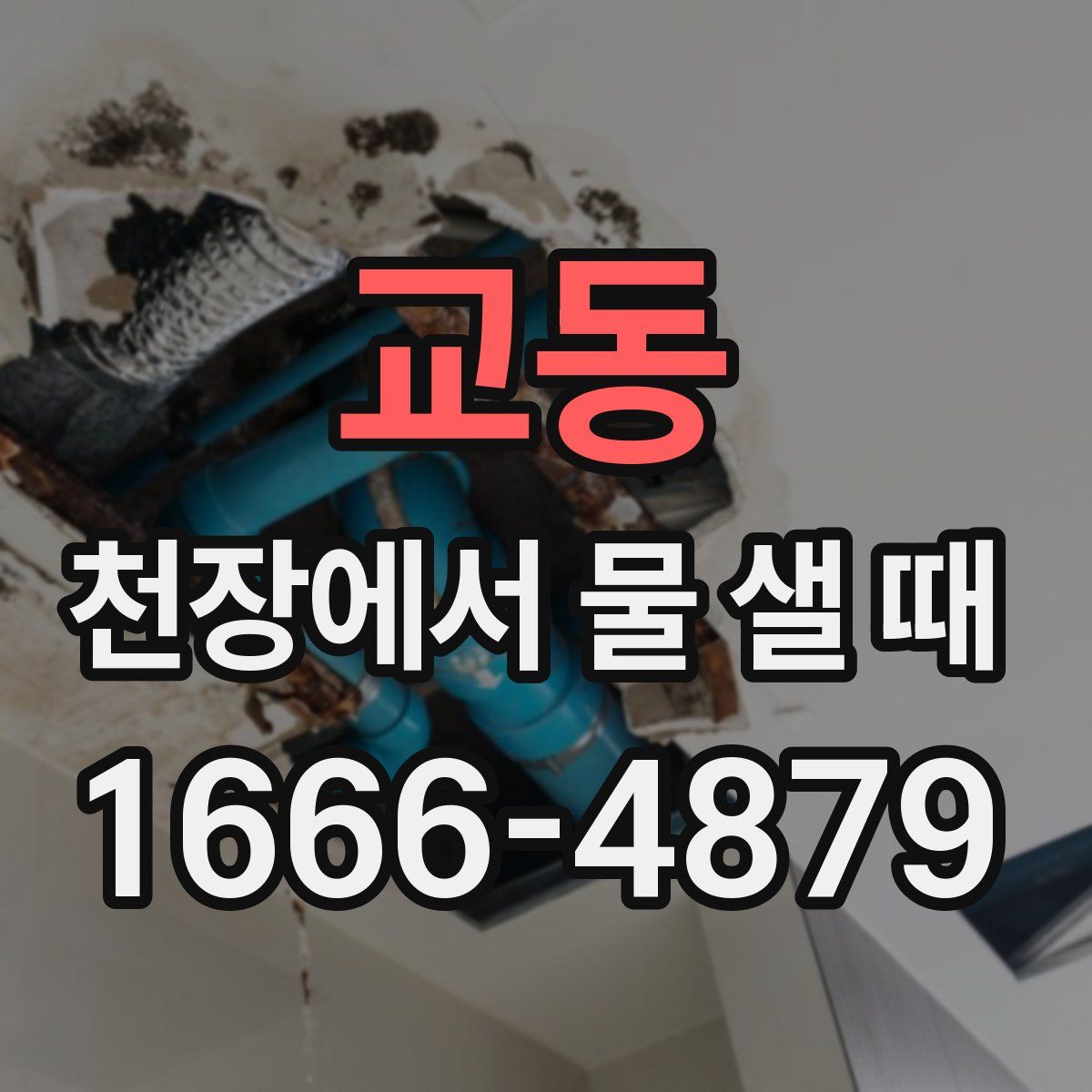 교동 천장에서 물 샐 때