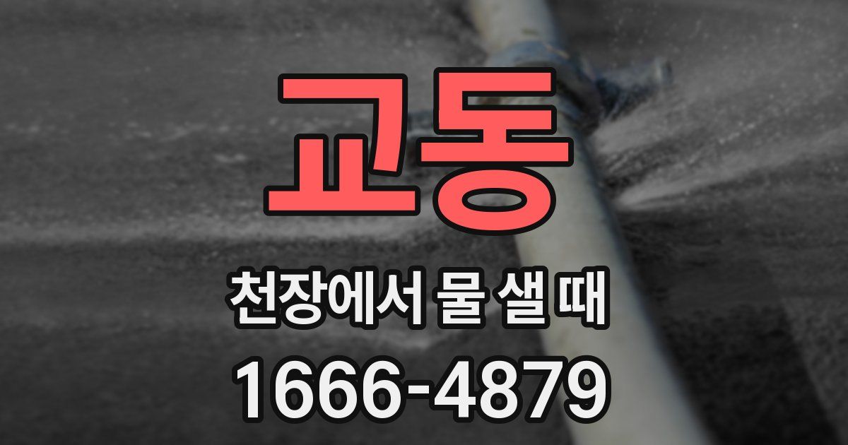 교동 천장에서 물 샐 때