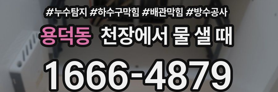 용덕동 천장에서 물 샐 때