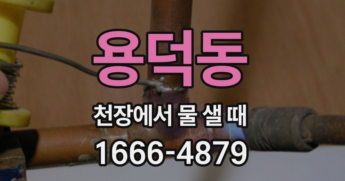 용덕동 천장에서 물 샐 때