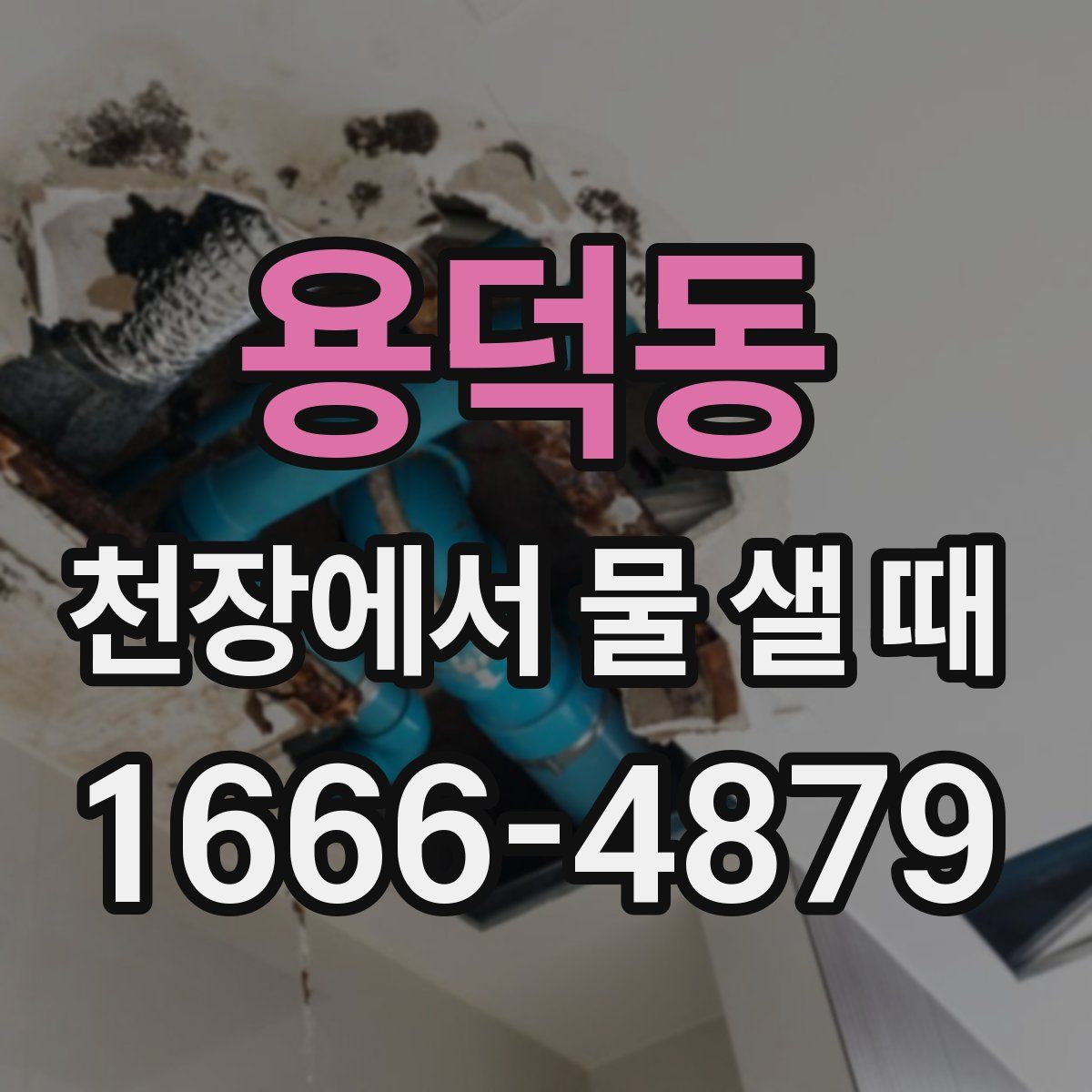 용덕동 천장에서 물 샐 때