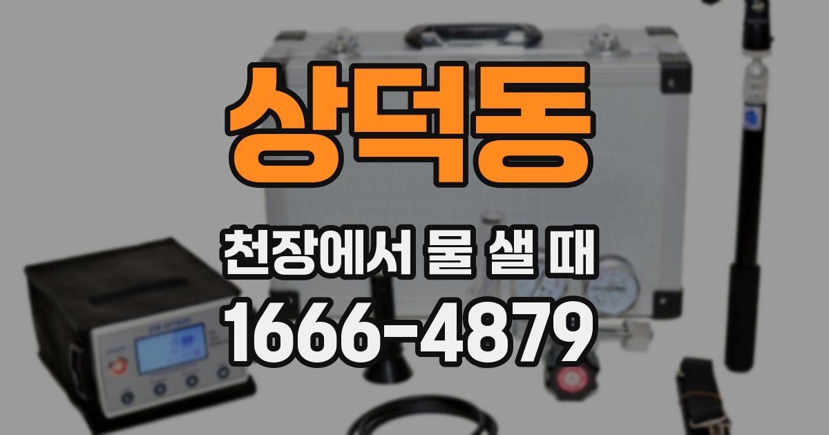 상덕동 천장에서 물 샐 때