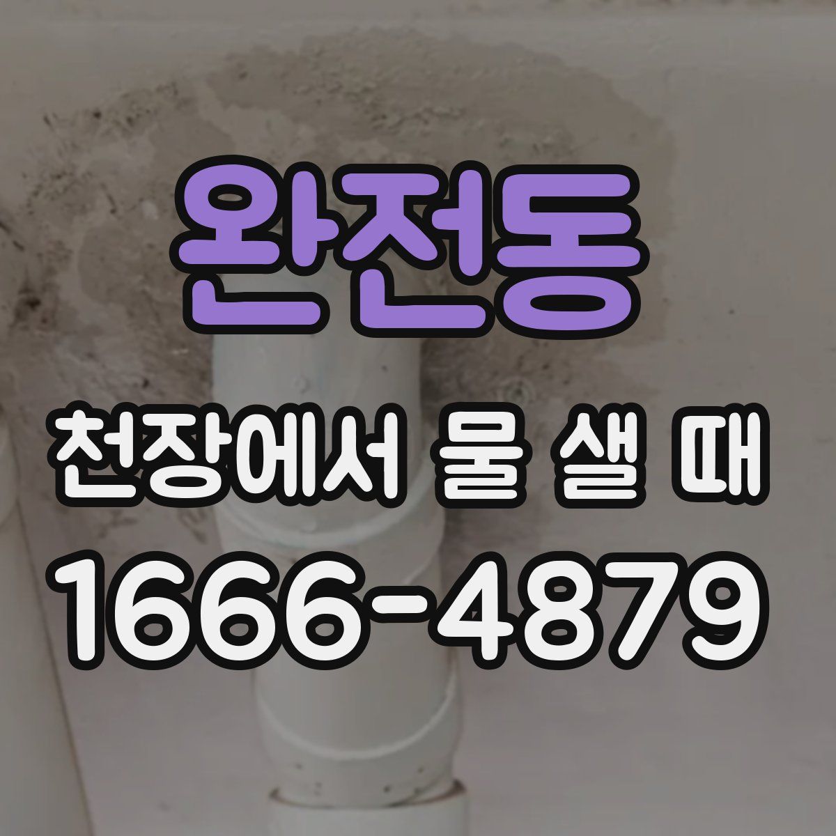 완전동 천장에서 물 샐 때