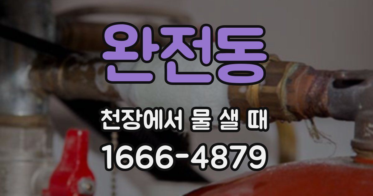 완전동 천장에서 물 샐 때