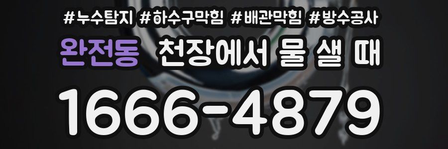 완전동 천장에서 물 샐 때