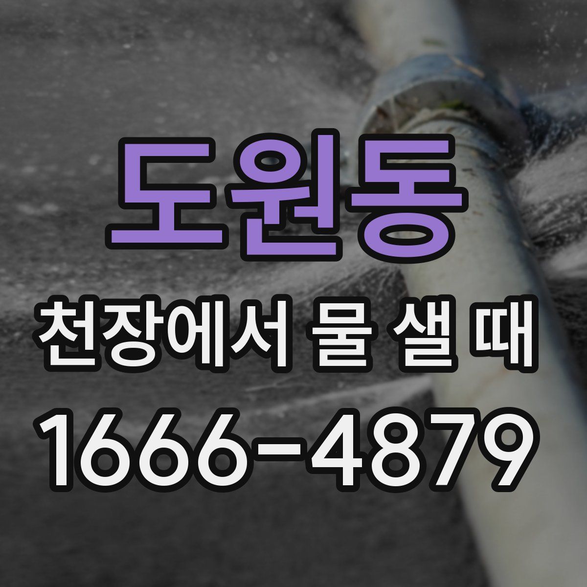 도원동 천장에서 물 샐 때