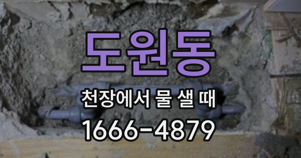 도원동 천장에서 물 샐 때