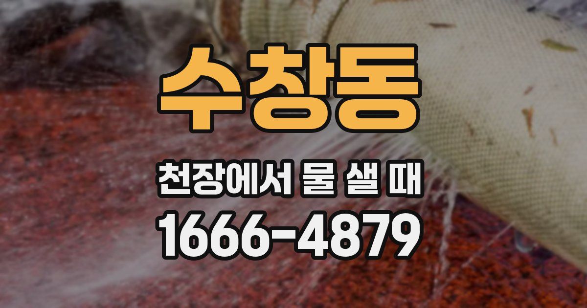 수창동 천장에서 물 샐 때