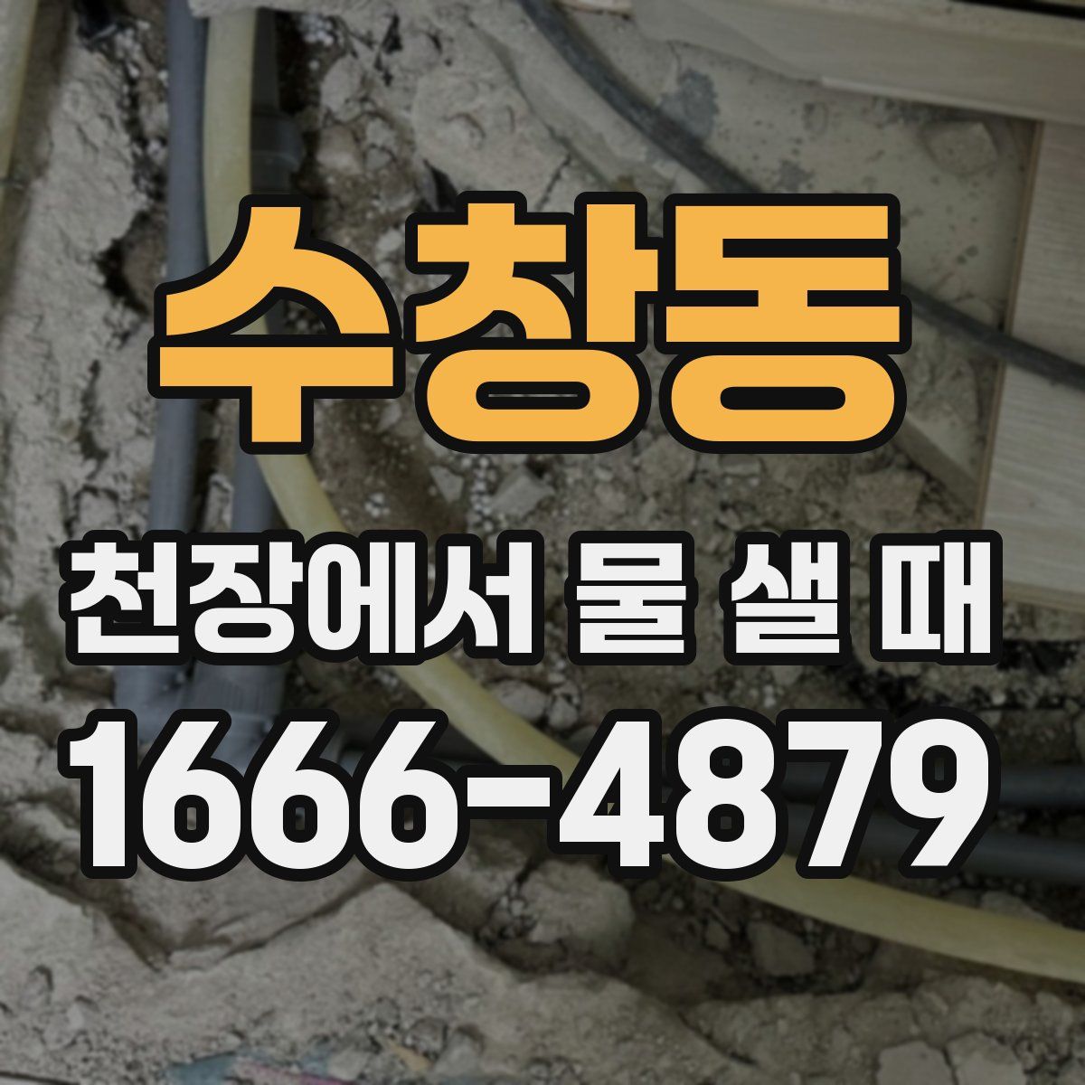 수창동 천장에서 물 샐 때