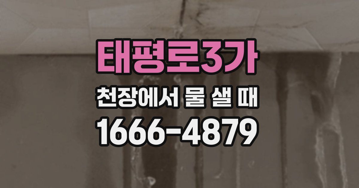 태평로3가 천장에서 물 샐 때