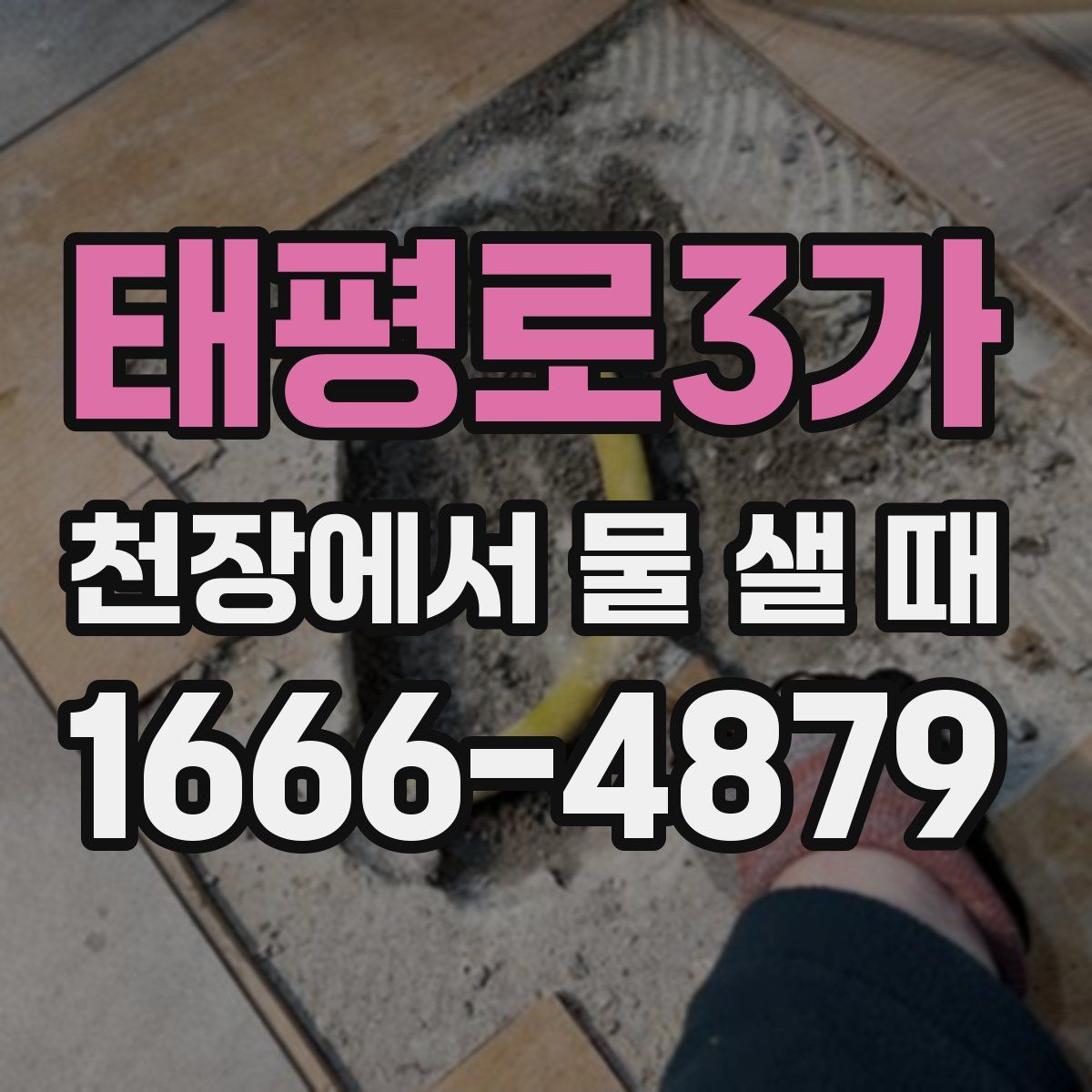 태평로3가 천장에서 물 샐 때