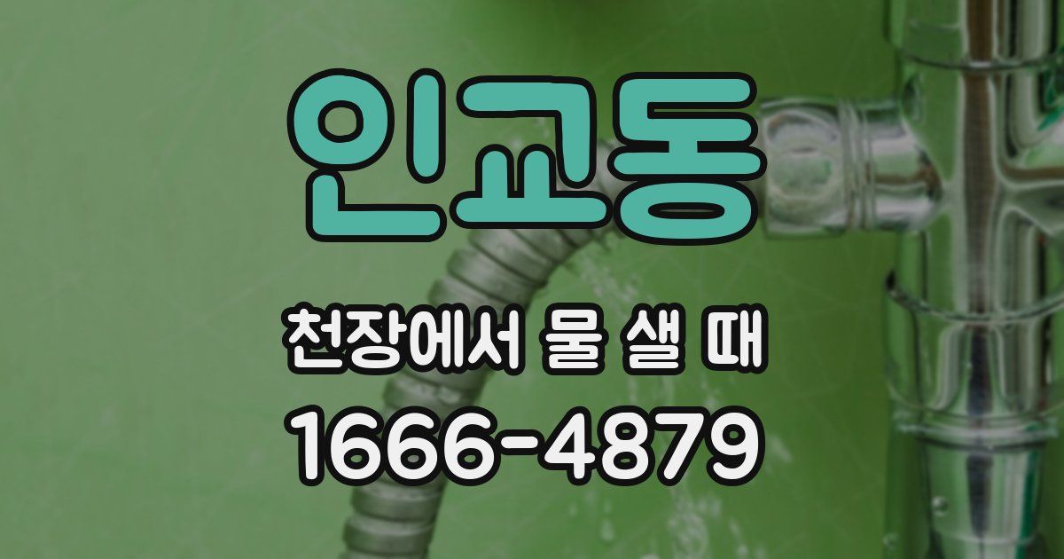 인교동 천장에서 물 샐 때