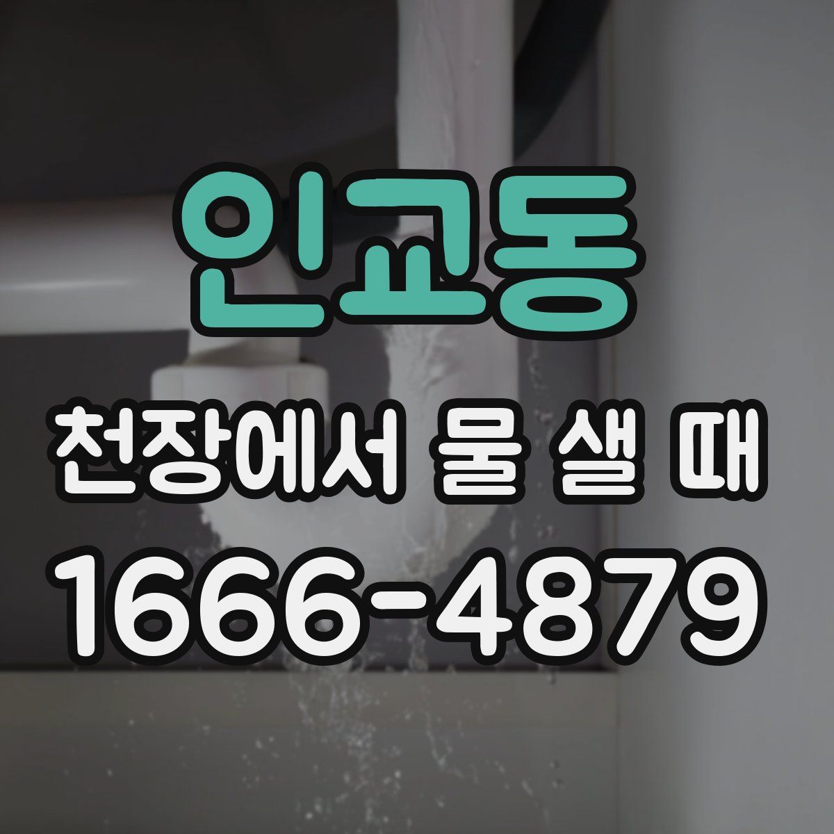 인교동 천장에서 물 샐 때