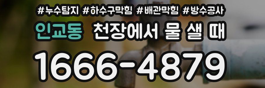 인교동 천장에서 물 샐 때