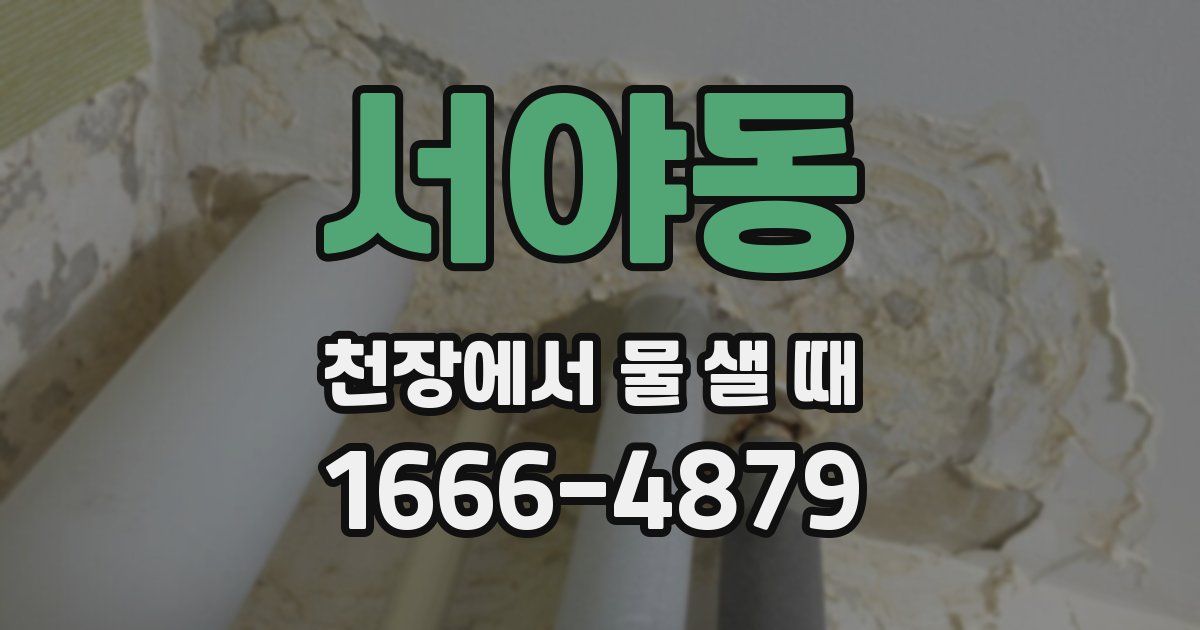 서야동 천장에서 물 샐 때