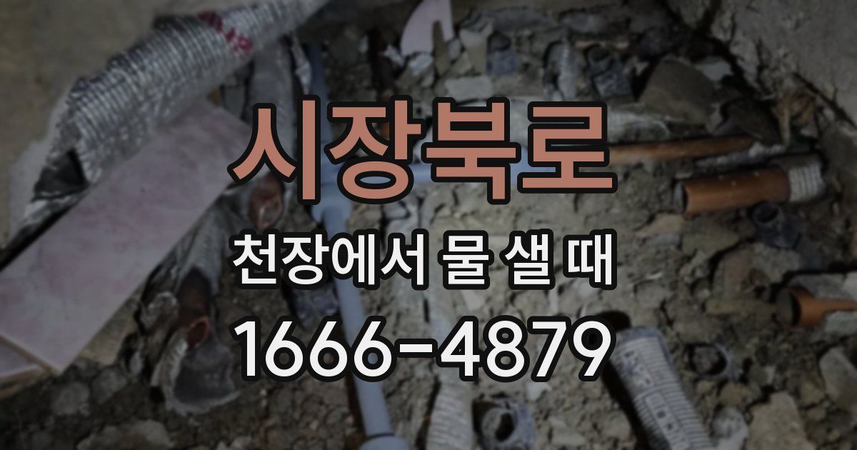 시장북로 천장에서 물 샐 때