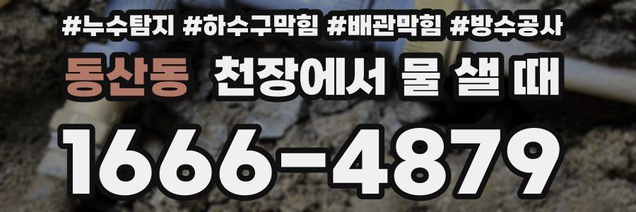 동산동 천장에서 물 샐 때