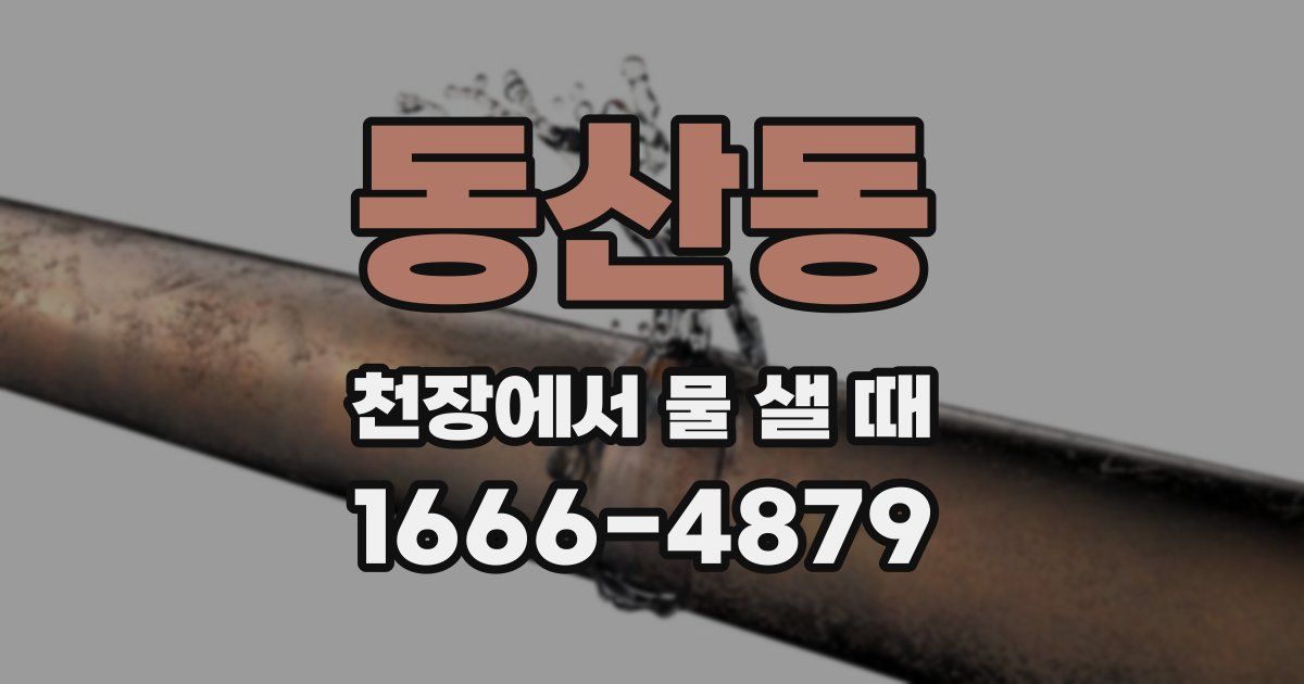 동산동 천장에서 물 샐 때