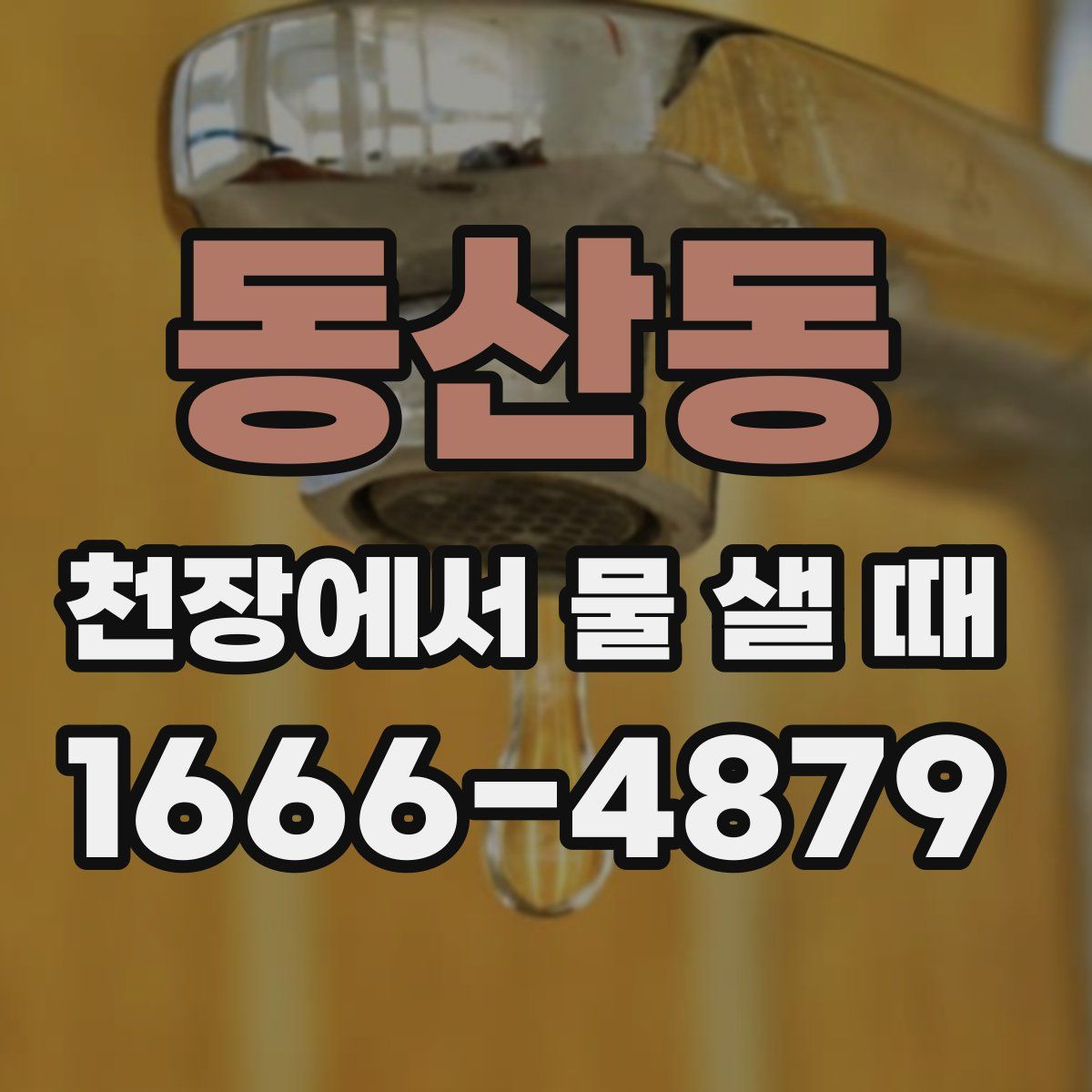 동산동 천장에서 물 샐 때