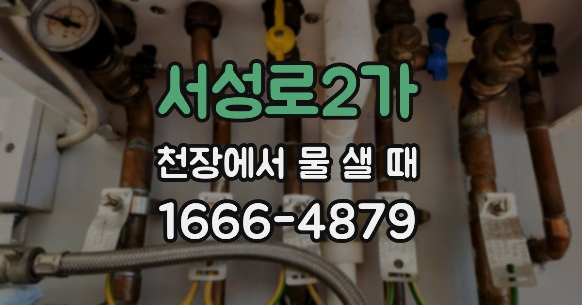 서성로2가 천장에서 물 샐 때