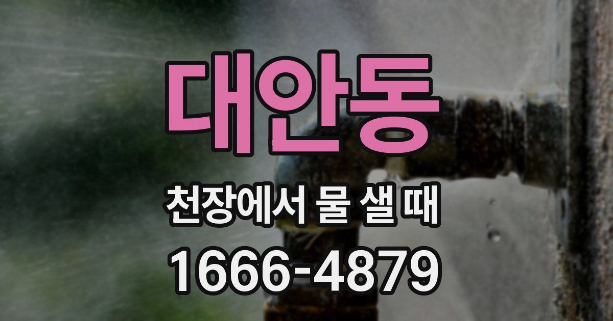 대안동 천장에서 물 샐 때