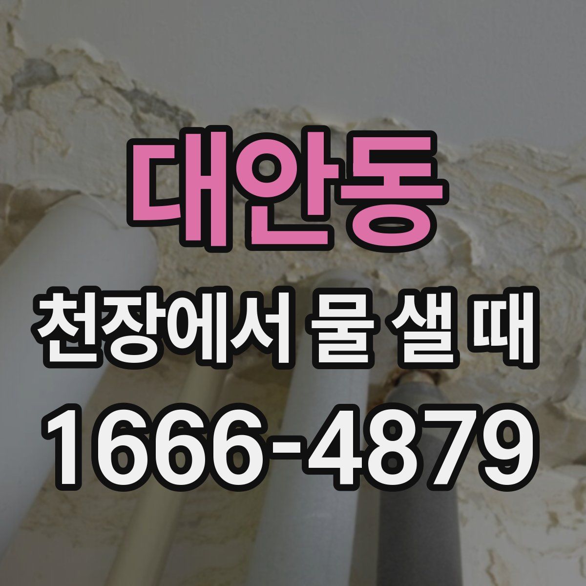 대안동 천장에서 물 샐 때