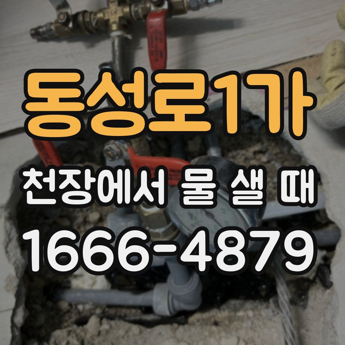 동성로1가 천장에서 물 샐 때