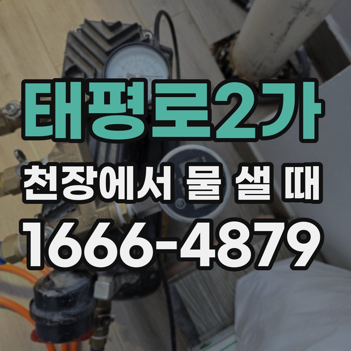 태평로2가 천장에서 물 샐 때