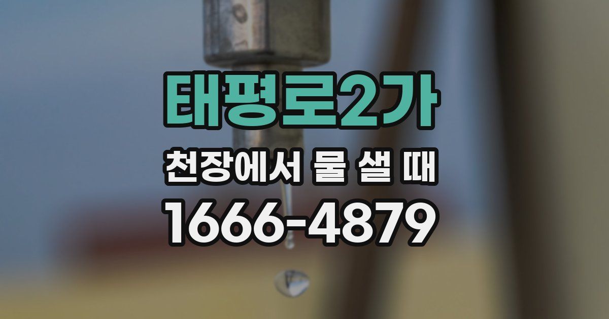 태평로2가 천장에서 물 샐 때