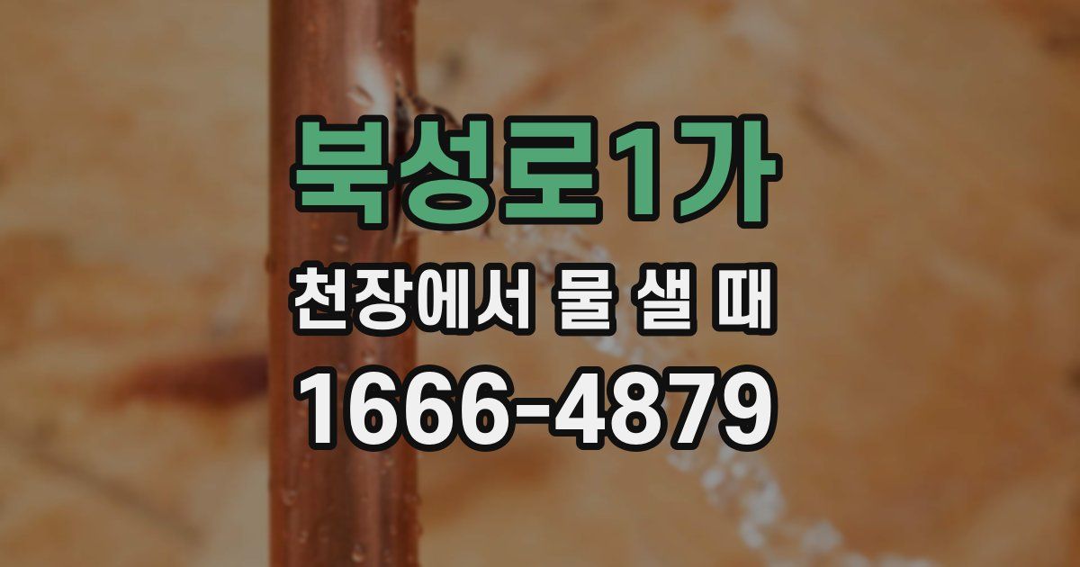 북성로1가 천장에서 물 샐 때