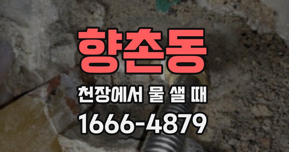 향촌동 천장에서 물 샐 때