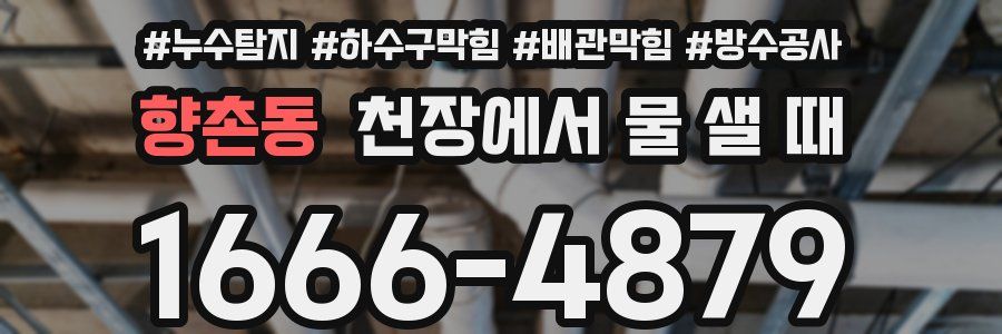 향촌동 천장에서 물 샐 때