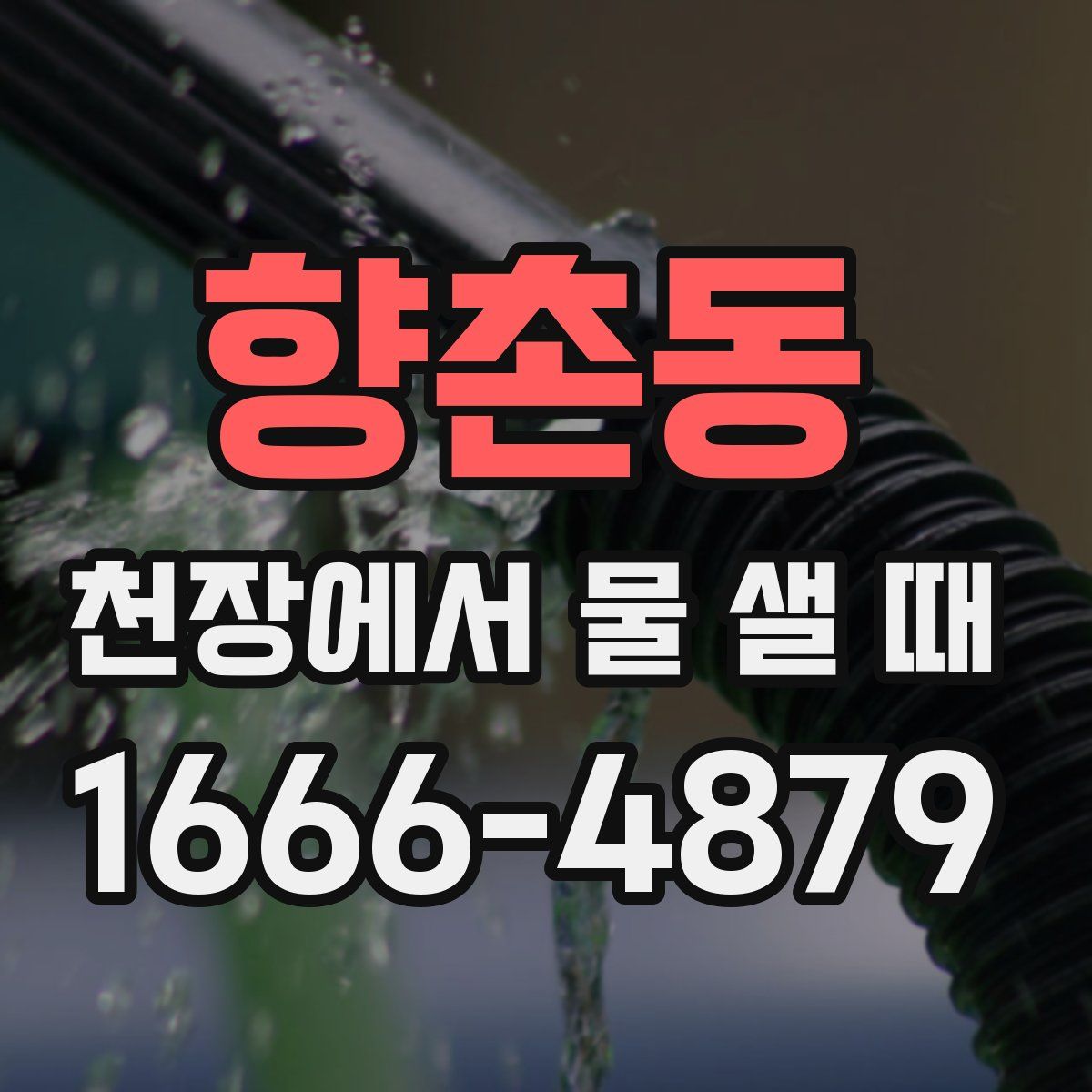 향촌동 천장에서 물 샐 때