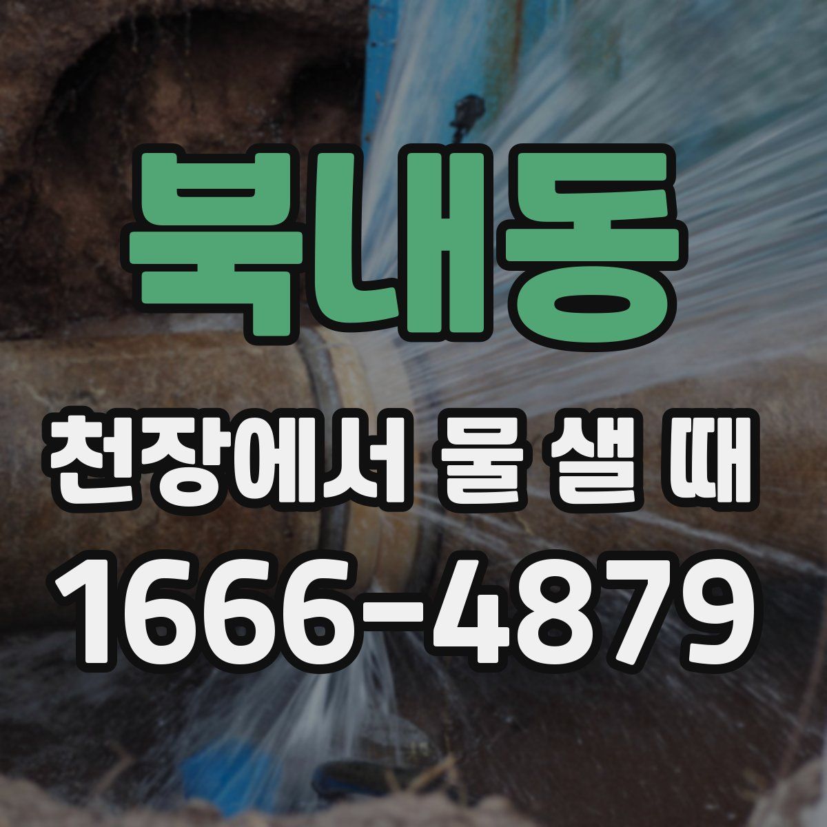 북내동 천장에서 물 샐 때