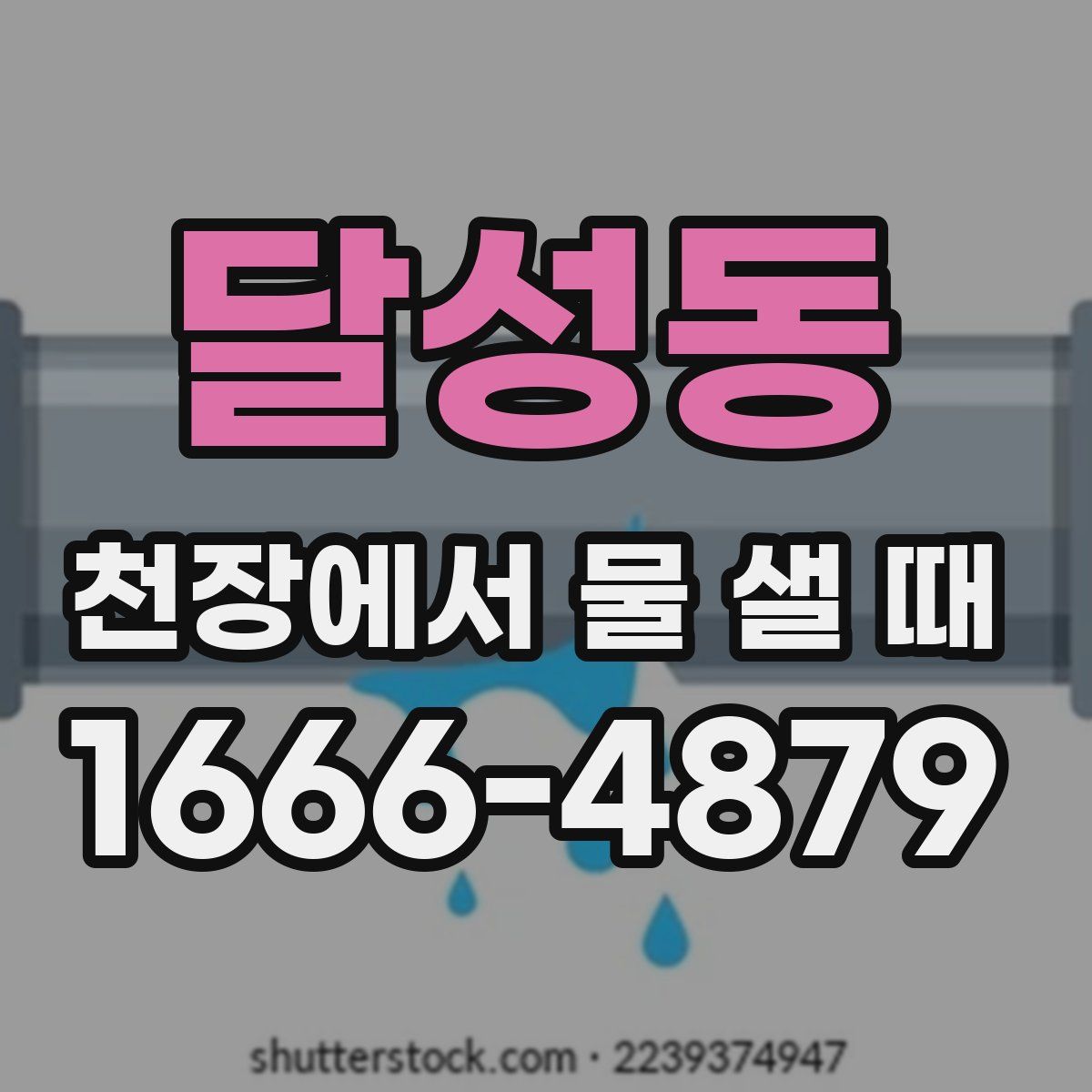 달성동 천장에서 물 샐 때
