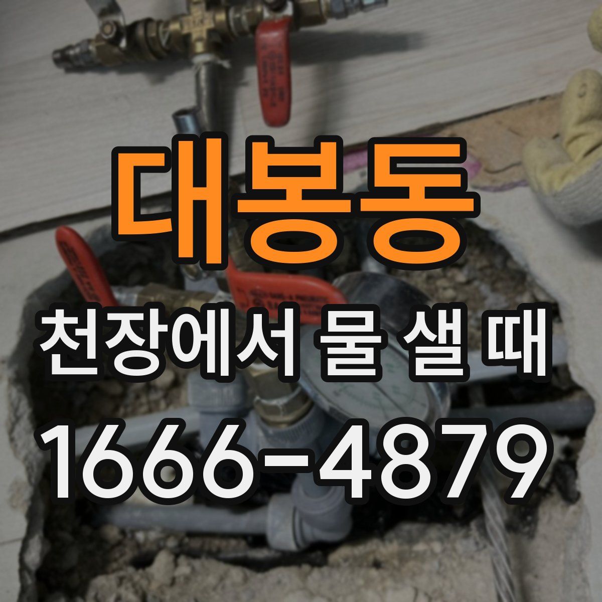 대봉동 천장에서 물 샐 때