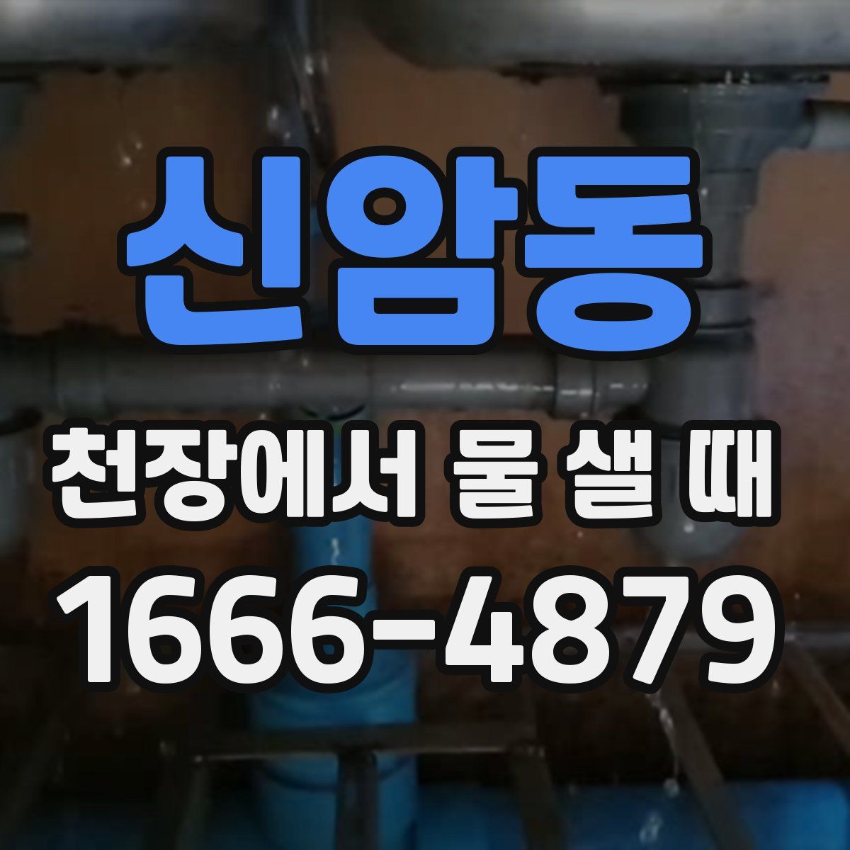 신암동 천장에서 물 샐 때