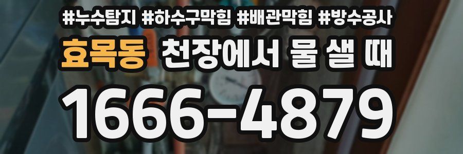 효목동 천장에서 물 샐 때
